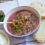 Ciorba de loboda si leurda / Red mountain spinach & bear’s garlic soup